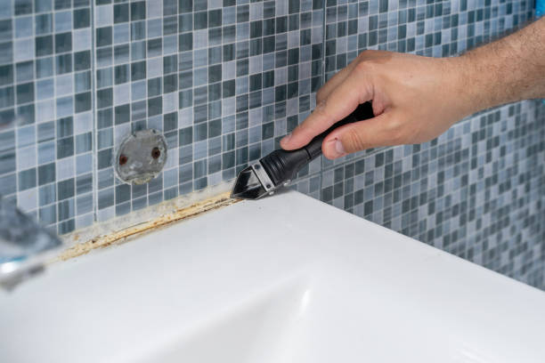 Best Mold Removal Specialists  in Pato, WA